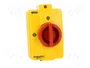 Schneider Electric TeSys VARIO Seccionador principal de seguridad de 3 polos 32A
