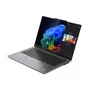 Lenovo ThinkPad X9-14 Gen 1 Copilot+ PC Intel Core Ultra 7 258V 32 GB 1 TB Gris
