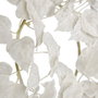 Ixia Corona Blanco PVC Jardín 30 x 30 cm