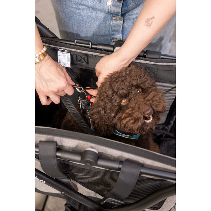 Carro de Compra Carlett CUBE P PINE Verde