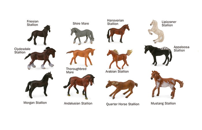 Collecta Box De Caballos Minis - A1109