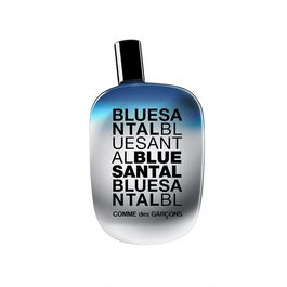 Comme des Garçons Bleu EPV 100ml Eau de Parfum