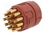 LAPP Conector M23 Hembra de 17 Pines EPIC® SIGNAL M23