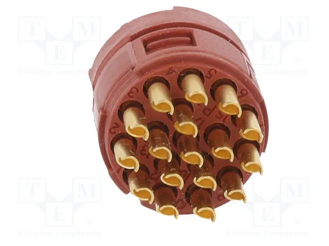LAPP Conector M23 Hembra de 17 Pines EPIC® SIGNAL M23