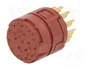 LAPP Conector M23 Hembra de 17 Pines EPIC® SIGNAL M23