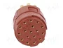 LAPP Conector M23 Hembra de 17 Pines EPIC® SIGNAL M23
