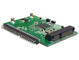 DeLOCK Adaptador de interfaz interno IDE a mSATA 62434