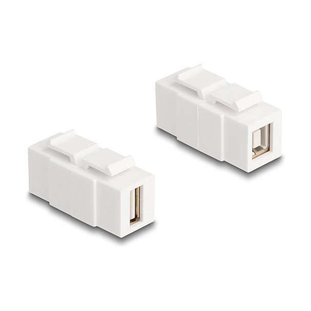 DeLOCK Módulo Keystone USB 2.0 Tipo-A y Tipo-B hembra blanco 87951 DeLOCK Módulo Keystone USB 2.0 Tipo-A y Tipo-B hembra blanco 87951