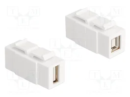 DeLOCK Módulo Keystone USB 2.0 Tipo-A y Tipo-B hembra blanco 87951