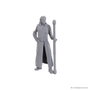 Wizkids D&D Nolzur's Marvelous Miniatures Gale & Astarion Sin Pintar