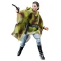 Hasbro Star Wars The Black Series 40th Aniversario Princesa Leia (Endor)