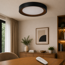 GreenIce Plafón LED Decorativo 36W CCT Negro