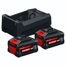 Bosch Starter-Set 2x EXBA18V-55 + GAL12V/18V-80