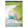 Zapf Creation BABY born Mein Hund Lucky con Box Mascota de muñeca Perro Multicolor 3 a 12 años