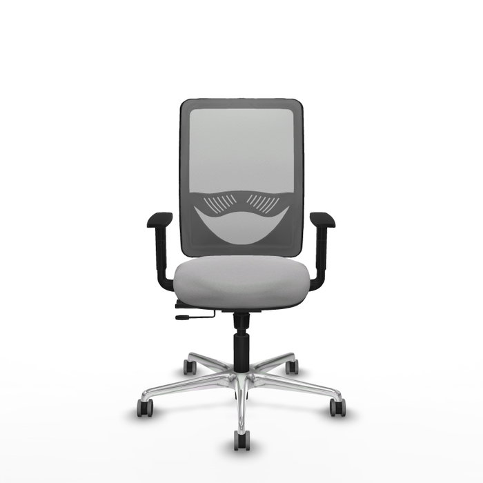 PIQUERAS Y CRESPO Silla de oficina Zulema con mecanismo Sincro/Traslack, Gris PIQUERAS Y CRESPO Silla de oficina Zulema con mecanismo Sincro/Traslack, Gris