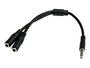 Startech Adaptador Mini Jack 3.5mm TRRS Macho a 2x Hembra para Separar Audio y Micrófono, 20 cm, CTIA, Negro