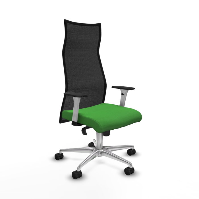 PIQUERAS Y CRESPO Sillón Albacete Verde y Negro con Mecanismo Sincro y Base de Aluminio PIQUERAS Y CRESPO Sillón Albacete Verde y Negro con Mecanismo Sincro y Base de Aluminio