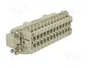 HARTING Han® Ex Conector Plantilla de Contacto Macho 24+PE