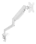 Tooq Soporte de Mesa para Monitor DB1334TNR-W, 13-34 pulgadas, Blanco