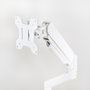 Tooq Soporte de Mesa para Monitor DB1334TNR-W, 13-34 pulgadas, Blanco