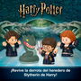 Little People Harry Potter Cámara Secreta HVG46 Figuras Coleccionables