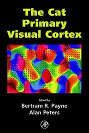 ACADEMIC PRESS The cat primary visual cortex