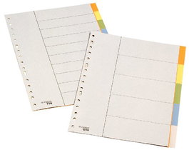 Separadores Esselte Pp Folio 10 Pestañas Multitaladro (Mod. 714) Con Ind.Color (Set de 25)