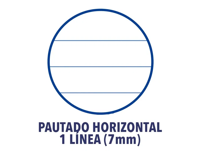 Oxford Libreta escolar DIN A4 48 hojas rayado horizontal colores surtidos