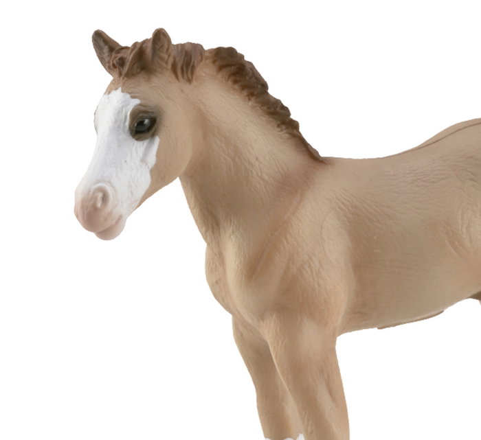 Collecta Potro Quarter Rojo Pardo 88814 Caballo de Raza