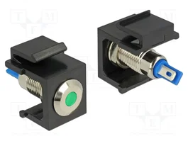 DeLOCK 86463 Keystone LED verde 6 V flach, negro