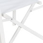 Silla Director Blanco Aluminio-Textileno 56 X 53 X 84 cm (Set de 2)