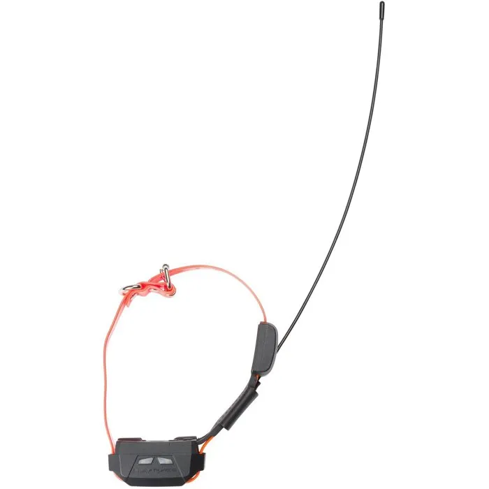 Num'Axes Collar de Seguimiento GPS para Perros con Función de Adiestramiento, AABCQ12479, Naranja Num'Axes Collar de Seguimiento GPS para Perros con Función de Adiestramiento, AABCQ12479, Naranja
