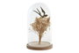 DKD Home Decor Decoración de Cristal y Metal Golondrina Dorado