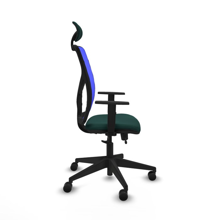 PIQUERAS Y CRESPO Silla de oficina Motilla con mecanismo Sincro/Traslack Verde botella y Azul PIQUERAS Y CRESPO Silla de oficina Motilla con mecanismo Sincro/Traslack Verde botella y Azul