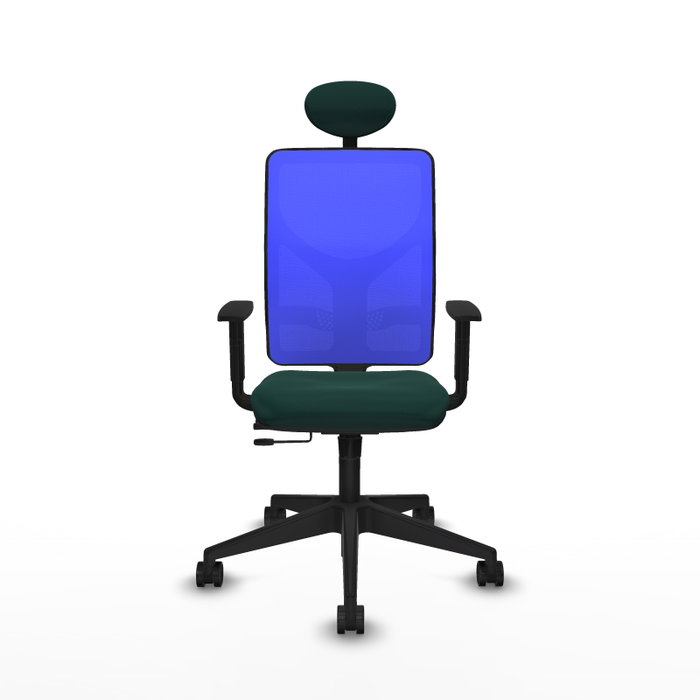 PIQUERAS Y CRESPO Silla de oficina Motilla con mecanismo Sincro/Traslack Verde botella y Azul PIQUERAS Y CRESPO Silla de oficina Motilla con mecanismo Sincro/Traslack Verde botella y Azul