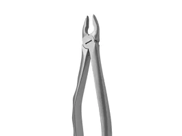 Covetrus Forceps N1 Incisivos Y Caninos para Extracción de Dientes Veterinarios