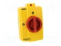 SCHNEIDER ELECTRIC TeSys VARIO Seccionador principal de seguridad 3 polos 25A IP65