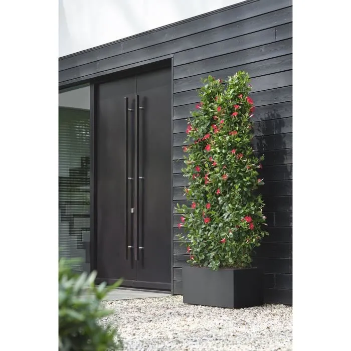 Elho Jardinera Vivo Next Long 60 Negro L 59 x B 30 x H 29 cm ELH8711904499624 Interior/Exterior 100% Reciclado