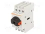 LOVATO ELECTRIC Interruptor de aislamiento GA 3 polos 40A