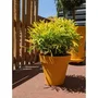 Riviera RIV3580794160366 Jardinera Redonda Plástico Diámetro 60 cm Amarillo