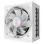 Gigabyte AORUS Elite P850W ICE Fuente Alimentación 850W 80+ Platinum Modular ATX 3.0 PCIe 5.0