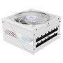 Gigabyte AORUS Elite P850W ICE Fuente Alimentación 850W 80+ Platinum Modular ATX 3.0 PCIe 5.0