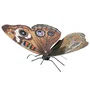 Fascinations Maqueta 3D Metal Mariposa Buckeye Montaje Sin Pegamento