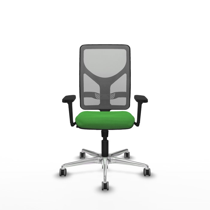 PIQUERAS Y CRESPO Silla de oficina Motilla con Mecanismo Sincro, Verde y Gris PIQUERAS Y CRESPO Silla de oficina Motilla con Mecanismo Sincro, Verde y Gris