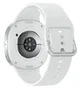 Smartwatch Samsung SM-L330NZSAEUB