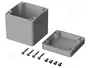 BOPLA EUROMAS Carcasa Universal Gris Claro IP66