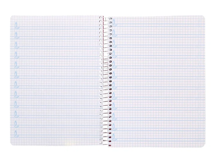 Liderpapel Cuaderno espiral A5 Pautaguía Tapa Plástico 80 Hojas 90gr Cuadro Pautado 4mm con Margen Color Azul