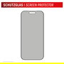 Displex Privacy Panzerglas Protector de Pantalla de Privacidad con Filtro para Apple iPhone 17/17 Pro, Resistente a Golpes y Rayones, 10H, 0.3mm, Ref 02162