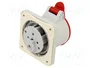 SEZ DK Conector de alimentación AC trifásico Hembra 16A 400V