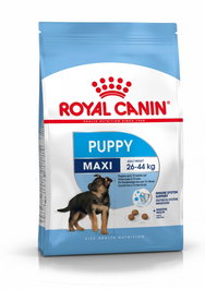 Royal Canin Maxi Puppy Pienso para Cachorros de Raza Grande Saco 4 kg